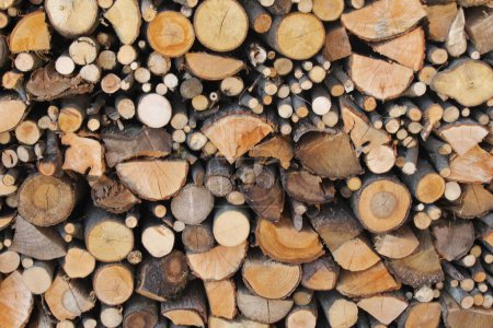 Photo for Stack of wooden logs, natural background - Royalty Free Image