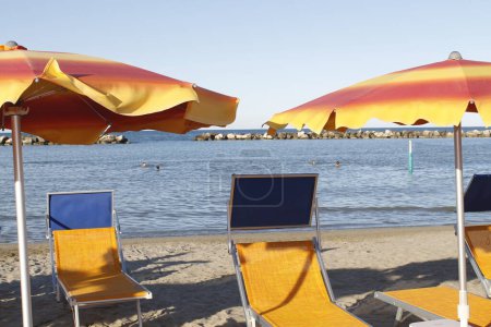 Téléchargez les photos : Chaises longues sur la plage - en image libre de droit