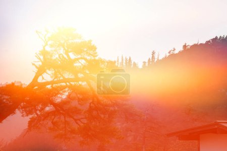 Photo for Mountain in Japan at sunset - Royalty Free Image