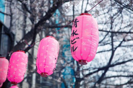 Téléchargez les photos : Vue des lanternes japonaises - en image libre de droit