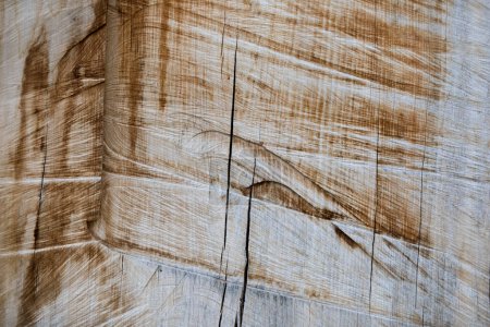 Photo for Abstract textured Wood cut background - Royalty Free Image