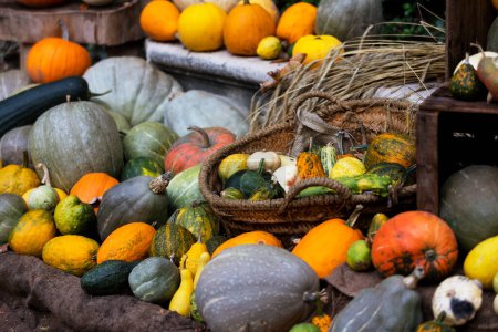 Téléchargez les photos : Fond de récolte d'automne avec citrouilles - en image libre de droit