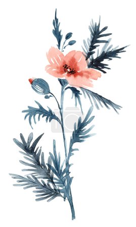 Téléchargez les photos : Plante de prairie de fleur sur fond blanc - en image libre de droit