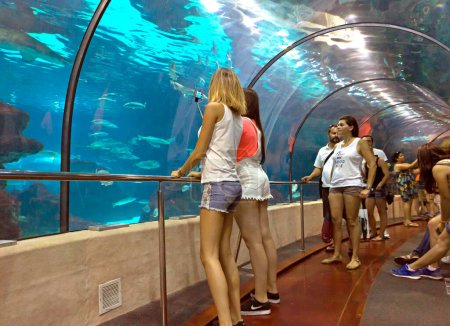 Téléchargez les photos : Touristes regardant les poissons à l'aquarium - en image libre de droit