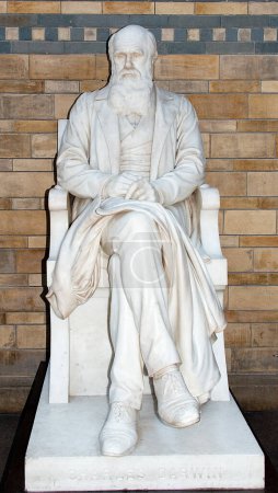 Photo for Charles Darwin Statue close up - Royalty Free Image