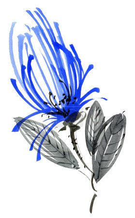 Téléchargez les photos : Fleur bleue avec feuilles - en image libre de droit