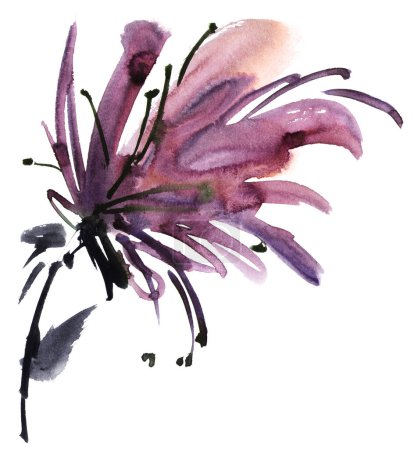 Téléchargez les photos : Aquarelle peinte fleur gros plan - en image libre de droit