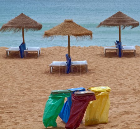 Foto de Separación de residuos en una playa - Imagen libre de derechos