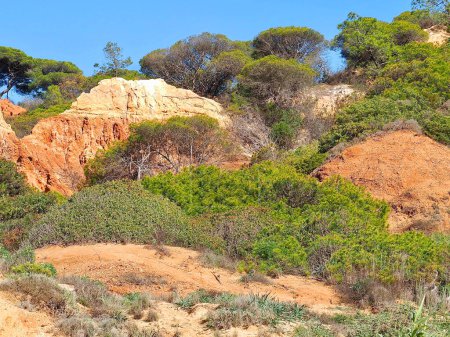 Foto de Beautiful dunes in Portugal Albufeira region - Imagen libre de derechos