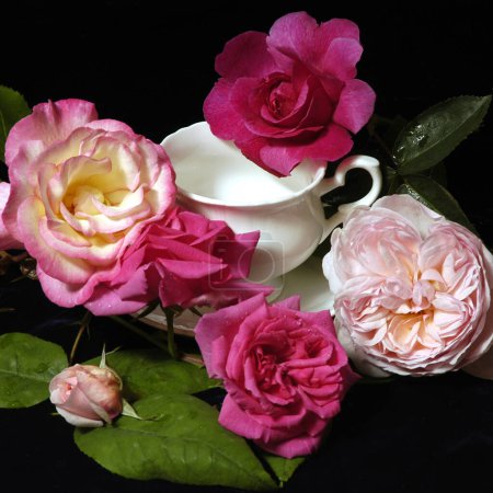 Foto de Fondo floral elegante. Hermosas flores - Imagen libre de derechos