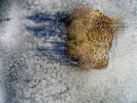 Photo for Small island in winter on an icebound lake with beginning thaw - Royalty Free Image