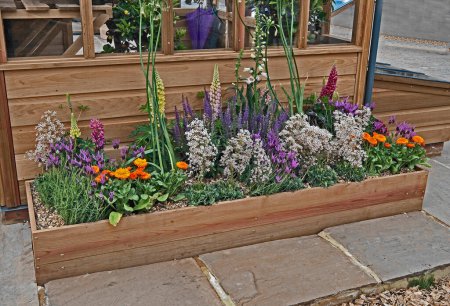Téléchargez les photos : Un continer de jardin en bois avec une sélection de fleurs colorées - en image libre de droit