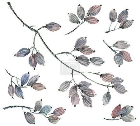 Téléchargez les photos : Branches aquarelle avec feuilles - en image libre de droit