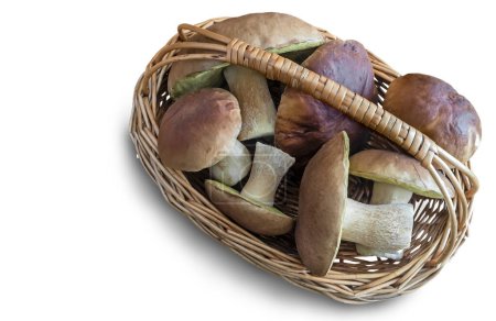 Photo for Basket with mushrooms isolated on white background - Royalty Free Image