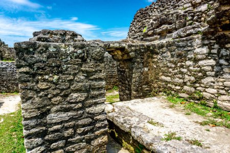 Téléchargez les photos : Plan panoramique des ruines antiques du temple de Caracol - en image libre de droit
