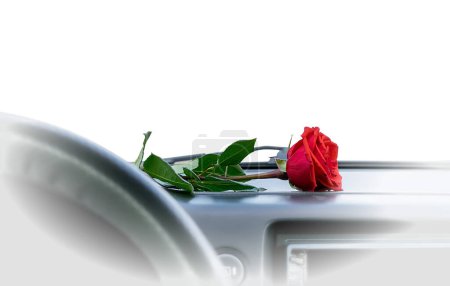 Téléchargez les photos : A red rose flower lies on the dashboard inside the car - en image libre de droit