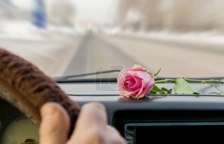 Téléchargez les photos : Une rose rouge se trouve sur le tableau de bord à l'intérieur de la voiture - en image libre de droit