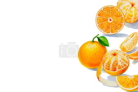Téléchargez les photos : Peinture collection d'oranges d'été isolé sur blanc - en image libre de droit