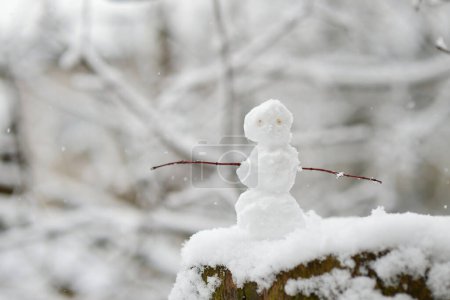Téléchargez les photos : Petit bonhomme de neige en gros plan - en image libre de droit