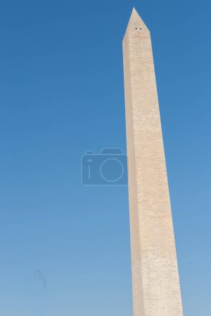 Photo for "Washington Monument tall obelisk in National Mall Washington DC " - Royalty Free Image