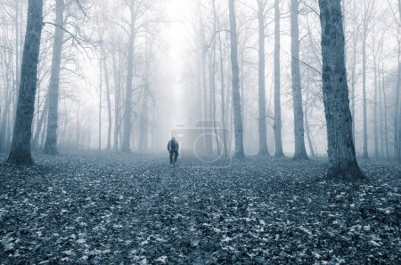 Téléchargez les photos : Forêt brumeuse avec l'homme dans le brouillard - en image libre de droit