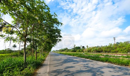 Photo for A countryside road by the railway - Royalty Free Image