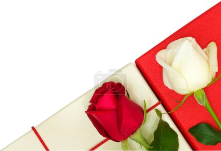 Téléchargez les photos : Deux roses sur des boîtes en papier sur fond, gros plan - en image libre de droit