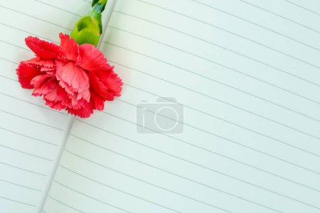Photo for Carnation and a notebook - Royalty Free Image