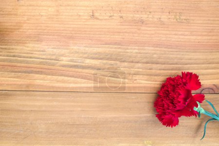 Téléchargez les photos : Un œillet rouge sur une table en bois - en image libre de droit