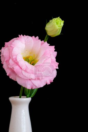 Foto de Delicado y hermoso rosa Lisianthus - Imagen libre de derechos
