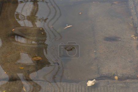 Photo for Water flood village on background - Royalty Free Image