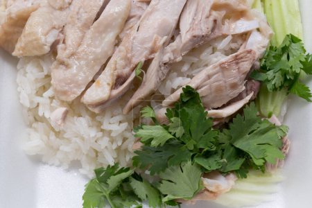 Photo for Steamed chicken with rice and parsley - Royalty Free Image