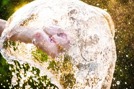 Foto de Primer plano de la mano apretar el globo con agua en el interior y salpicar a su alrededor en el fondo borroso de la naturaleza en el jardín. - Imagen libre de derechos