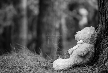 Foto de El oso de peluche se sienta en el suelo, sentado contra el árbol. Concepto emocional y de expresión - Imagen libre de derechos