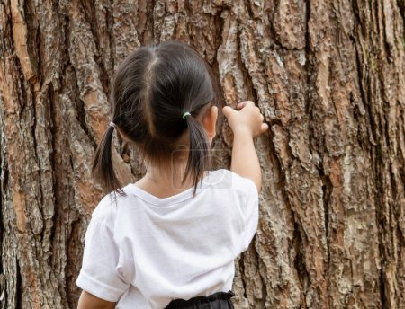 Téléchargez les photos : Asiatique petite fille enfant explorer à pin arbre pour étudier l'environnement dans le jardin. - en image libre de droit
