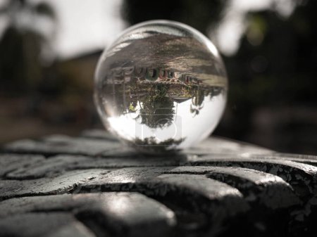 Téléchargez les photos : "Crystal boule de verre sphère placer sur la jante des pneus et révélant le grand arbre intérieur sur fond flou." - en image libre de droit