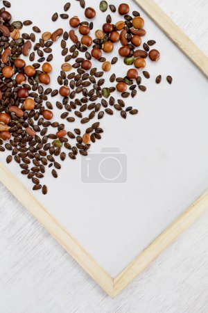 Photo for "Many seeds put on whiteboard and space for your ideas texts. top view. Background concept." - Royalty Free Image
