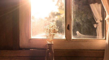 Téléchargez les photos : "Dry flower vase on wooden table near the window in room with sunlight in evening. Autumn concept." - en image libre de droit