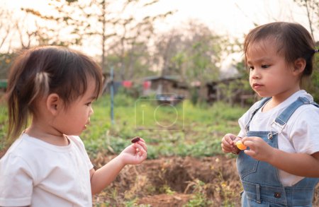 Photo for Asian little child testing the taste of fresh mulberry balls the beginning in the garden, First time to eating. Playing is learn to children - Royalty Free Image