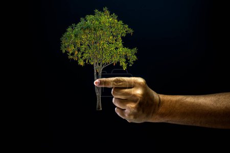 Téléchargez les photos : "main pincer doigt pour donner un arbre
" - en image libre de droit