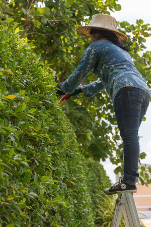Téléchargez les photos : Femme coupant l'arbre - en image libre de droit