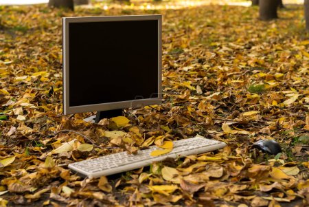 Photo for "The monitor from the computer is on the autumn yellow foliage" - Royalty Free Image