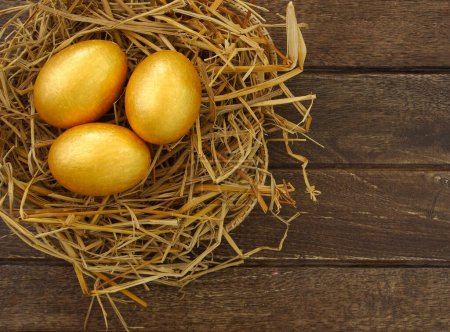 Foto de Huevos de oro en el nido - Imagen libre de derechos