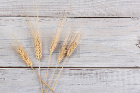 Photo for Wheat Stalks on wooden background - Royalty Free Image
