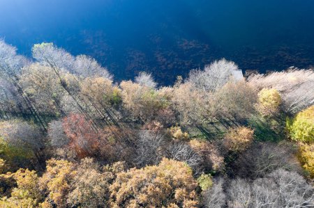 Foto de Fotografía aérea abstracta de un bosque de color otoñal en el borde de una superficie de agua azul de un pequeño estanque - Imagen libre de derechos