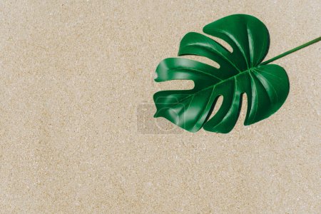 Foto de Tropical monstera leaf on sand texture background summer beach - Imagen libre de derechos