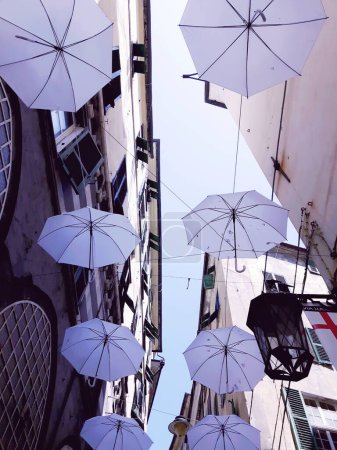 Téléchargez les photos : Mois de la fierté. Parapluies de couleur suspendus sur la rue - en image libre de droit