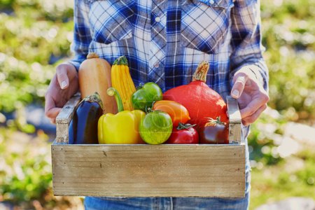 Photo for "Young woman holding wooden crate with vegetables" - Royalty Free Image