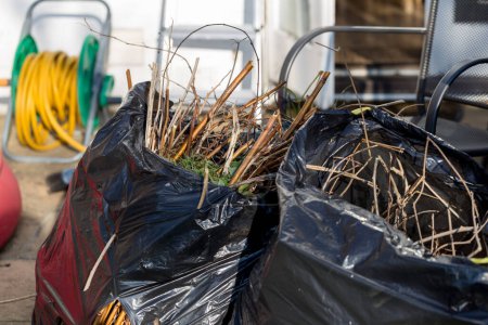 Téléchargez les photos : Sacs noirs de déchets de jardin dans un cadre résidentiel - en image libre de droit