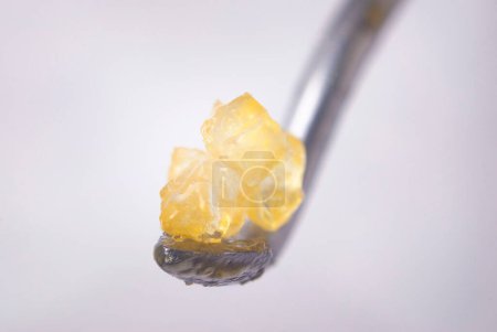Photo for "Macro detail of cannabis concentrate HTFSE - Royalty Free Image